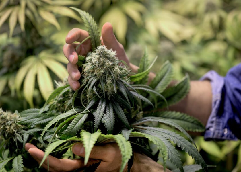 March 1, 2016, 2016. Good Chemistry. Photo by Ellen Jaskol.