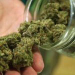 Explorando o CBN, CBD, CBG e THC Delta 9