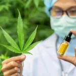 Cannabis Medicinal: Eficácia na Redução da Dor em Pacientes Com Dor Neuropática Crônica