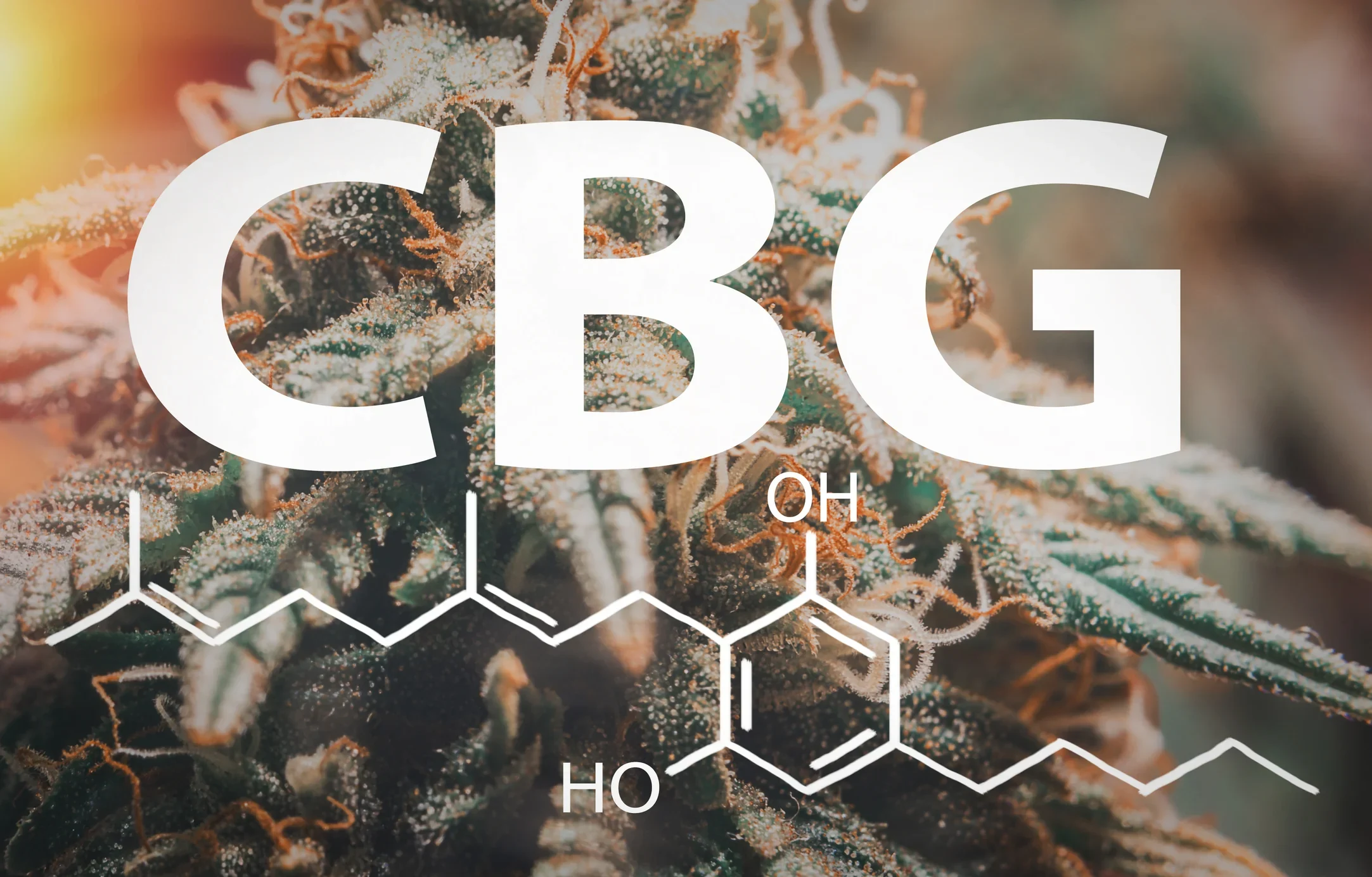 Cannabigerol-cbg-cannabinoid-chemical-structure