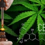 Recuperação Pós-Treino com CBD: Como Funciona