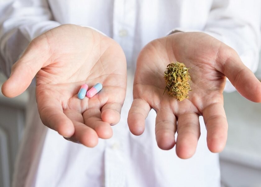 Doctor hand holding bud of medical cannabis and pills